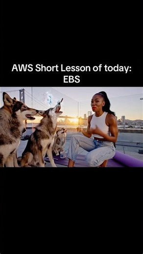 EBS (Elastic Block Store) is like a hard drive for your EC2 instance #aws #ebs #ai #cloud #wolf #fyp