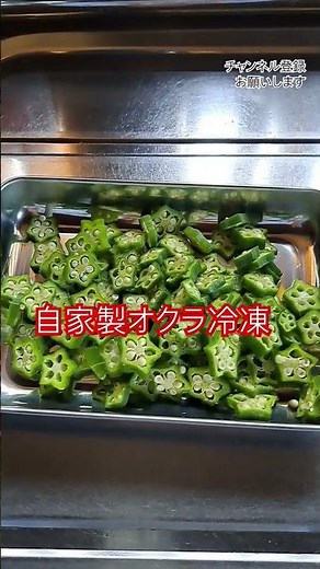 自家製オクラの冷凍#家庭菜園#無農薬#オクラ#冷凍#固めにボイルして冷凍する