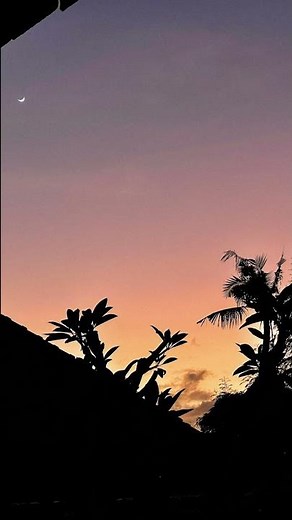 I made this beautiful Animated COLLAGE in Canva | Our Adventures in Bali