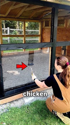 This Simple Paint Trick Makes Chicken Wire Vanish