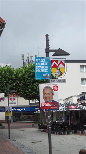 Albert Flamingo: Wer ist der Flamingo (Albert)?