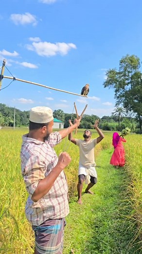 8.9K views · 20 reactions | #funny  | Funny Content BD | Facebook