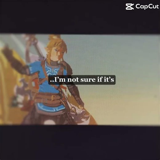 Poor link #linkus #totk #edit