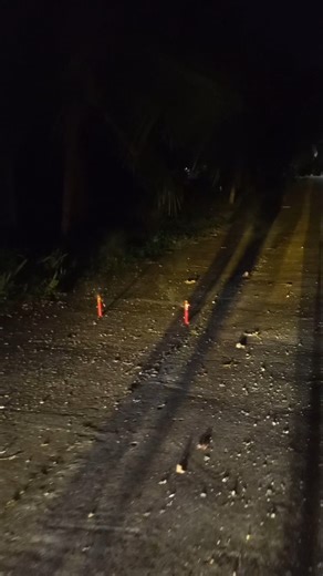 Giant whistle bomb 2x part3 New Year's Eve 2026✨ #paputok #highlights #fypシ #diwali