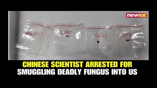 Strange Video That Exposes Something Massive