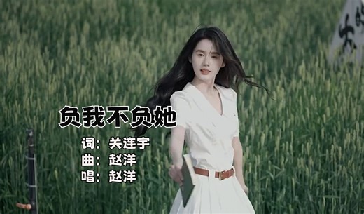 赵洋-负我不负她(DJ版)，WAV无损音质 mp4
