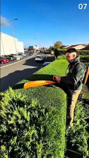 Trimming hedge evenly with electric landscaping tool
