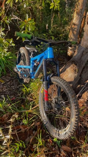 Cleanest 20 inch bike ever? #norcobikes #cleanbike #automobile #fullsendordontsend #mtb #fullsus