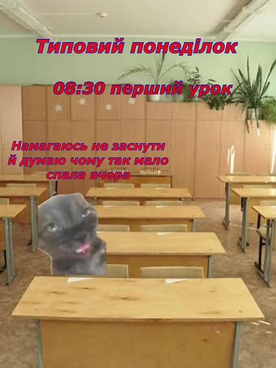 Понеділок позаду! Завтра вівторок, далі середа, а середа це маленька пʼятниця 🥳 Більше відео в профілі 👉 Підписуйся! #школа #fyp #capcut #cat #animation #україна🇺🇦 #кіт #viral #жиза #я
