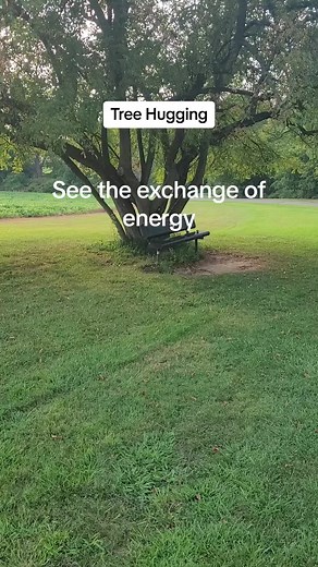 Tree Hugging: Witness the Miracle of Connecting with Nature