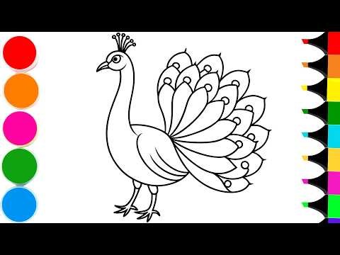 How to Draw a Cute Peacock | Drawing and Coloring a Vibrant Peacock