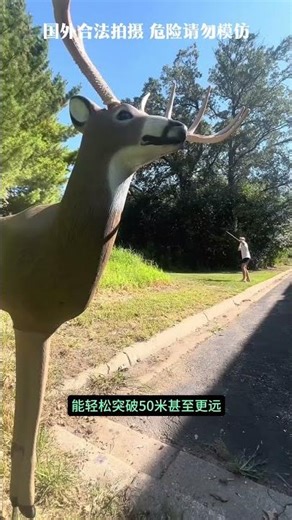 投矛器，四万年前的远程狩猎神器投矛器，奠定了人类的生存优势！#综艺 #解说 #解說
