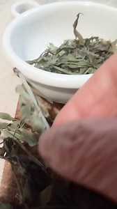 11K views · 121 reactions | Infuso di Galium aparine Parte 4 | Nei giardini che nessuno sa | Facebook