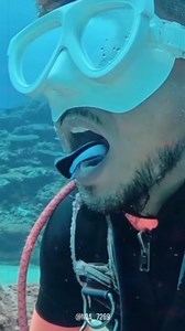 7.1K views · 1.1K reactions | Cleaner fish #fish #fishes #science #sea #ocean | Facts Too | Facebook