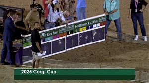 And you thought the Quarter Horses were fast out of the gates... 🔥 Rewatch the 2025 Corgi Cup Championship🏆 🐾 | Sam Houston Race Park
