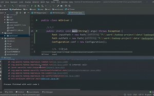7.编写MapReduce程序