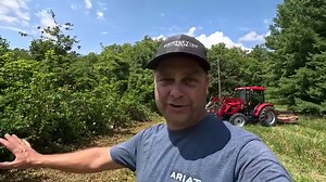 68K views · 2.5K reactions | Clearing out overgrown Fence line. The...
