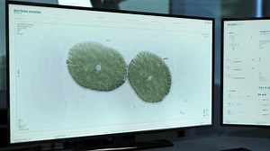 Scientific Research Of A Bacteria Division Used In A Microbiology. Digital Research Of Division At A Modern Biology Laboratory. Biology Research Of Division On A High Tech Computer Program.