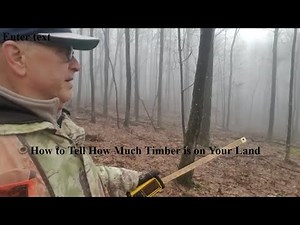 Cruising Timber - Know What You Have