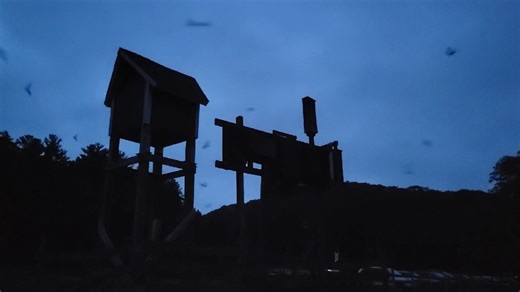 Little brown bats are recovering – in a big way! We’re encouraged to see that this species, once decimated by white-nose syndrome, has growing numbers for the third year in a row at summer roost sites. Last month, volunteers across the state participated in the annual Great Wisconsin Bat Count and observed nearly 25,000 bats as they emerged from their daytime roosts, up from 22,600 counted in July 2024. These efforts help DNR biologists better understand the status of Wisconsin’s big brown bat a