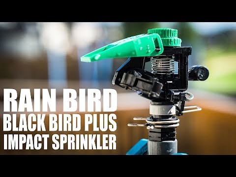 Rain Bird Impact Sprinkler