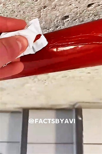 The Snakeist Prank Ever 😯 #viral #reels #fbreels | Facts By Avi