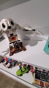 Watch Quick Review of the Lego Hedwig on Amazon Live