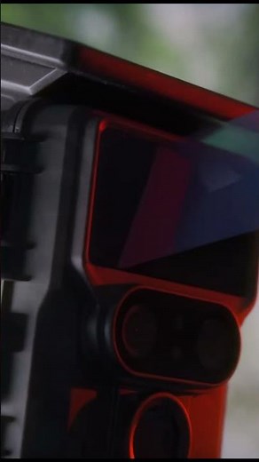 🌟 Campark trail camera，explore the mysterious moments of nature! 🌲#campark #trailcamera #wildlife