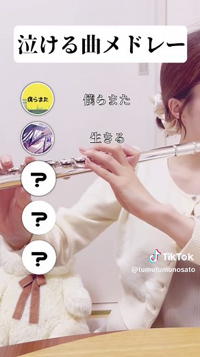 感動する曲フルート演奏メドレー