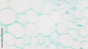 Stem of dicotyledonous plants under microscope, cross section. 400x times magnification. Phytochemical analysis. Recycling waste into biofuel production. Bioactive compounds with potential medicinal