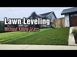 How I Leveled My Lawn Without Killing The Grass