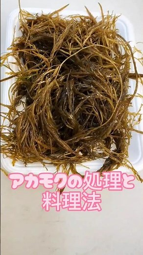 アカモクの下処理と効果食べ方【キバサ】 #アカモク #アカモク下処理 #ギバサ