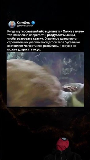 Халк сломал челюсти мутировавшему псу, не нанеся ни одного удара