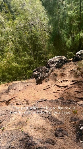 2.1K views · 45 reactions | Ehukai Pillbox Trail how to get down challenge haha!酪 #islandlife #hike #hawaii #oahu | Alicia Agustin Vidal | Facebook