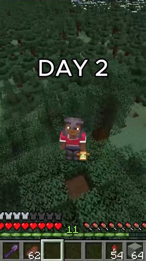 The BIGGEST HOLE in Minecraft HISTORY! (Day 2) #minecraft #minecraftshorts #minecraftsurvival