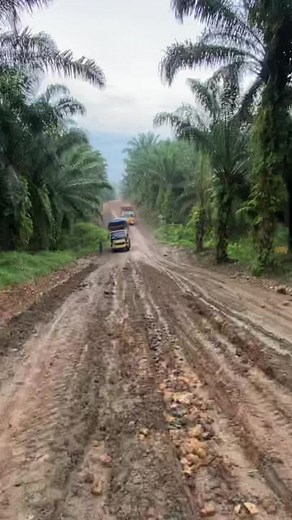 Vehicles Conquering Muddy Plantation Roads
