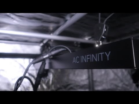 Full AC Infinity Grow Tent Setup| Ionframe Evo 4