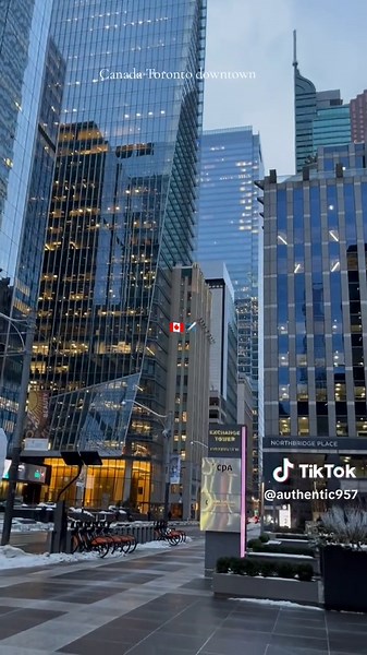 Exploring Downtown Toronto: A Visitor's Guide