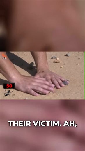 60-second harvester ant challenge! #ant #challenge #harvesterant #bravewilderness | Brave Wilderness