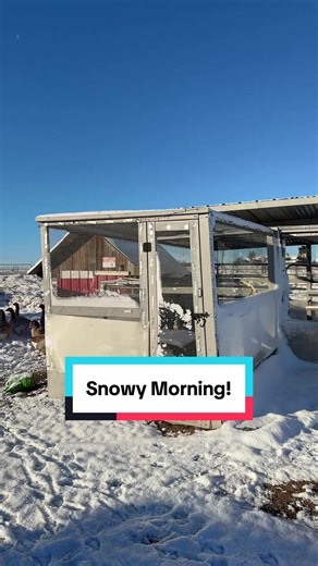 Chickens and Snow: A Farm Life Perspective