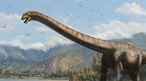'Dragon Dinosaur' discovered in China
