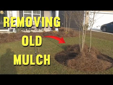 Mulch Installation: [Removing Old Mulch - 2]