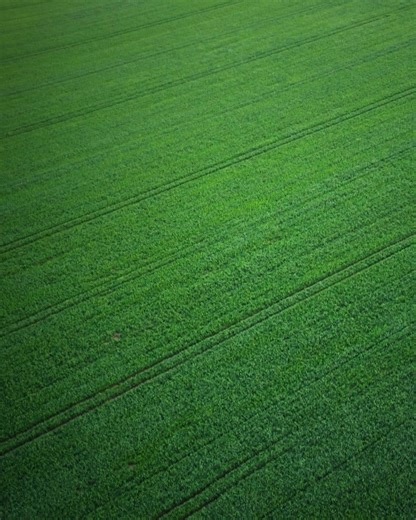 Use the unmatched flexibility of Frequency to reshape your spray mix and get great results against the toughest broadleaf weeds this season. | BASF Agricultural Solutions | Facebook