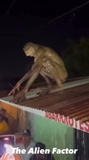 Alien Factor Media on Instagram: "People that are not in the know or don’t understand or don’t believe always say it’s a fake video. It’s AI it’s CGI etc. Just remember, our corrupted government has lied to us from the very beginning.… do some damn research!!! A frog-like humanoid creature, often referred to as “Frogman,” has been spotted on rooftops in Mexico, particularly in Cancun, sparking discussions and intrigue online. In my opinion, I believe this is 100% authentic whether people believe