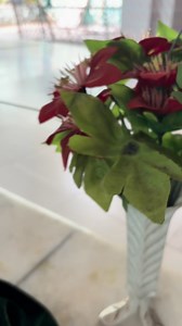 1.6M views · 101K reactions | Today's Best Photo ❣ ∙── ৳ ﷽❣...