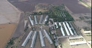 Aerial view of old abandoned pig farm. Livestock farm. Farm for growing pigs.