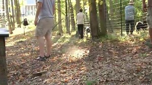 Potsdam Dog Park At Humane Society Becomes Reality Thanks To Eagle Scouts