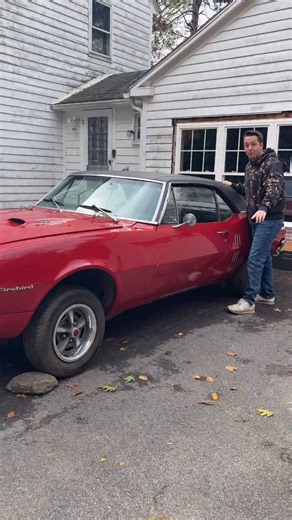 Day 24: The vinyl top on the firebird project car has got to go! #classiccars #projectcar #musclecars | Chaseing Classics