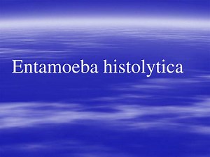Entamoeba histolytica - SlideServe