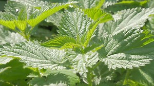 Este #DomingodeDíaaDía un programa perfecto para cerrar el feriado con las mejores historias. | DIA A DIA